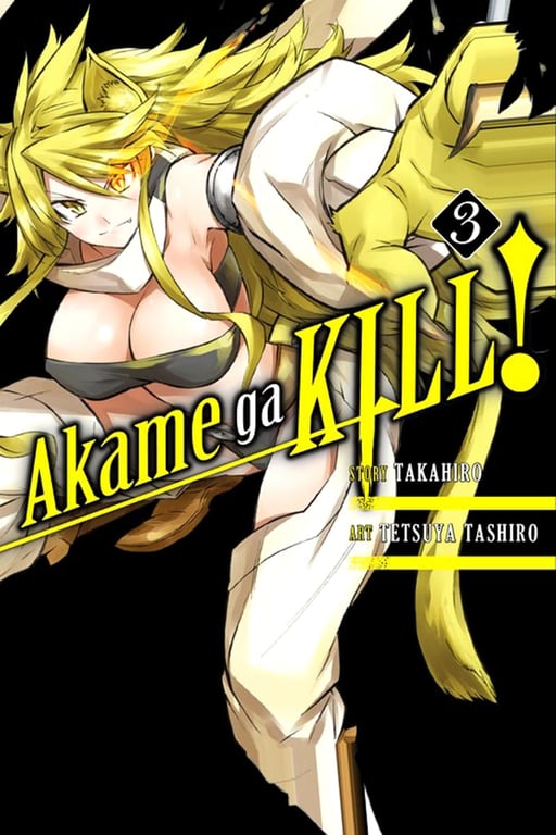 Akame Ga Kill (Manga) Vol 03 Manga published by Yen Press