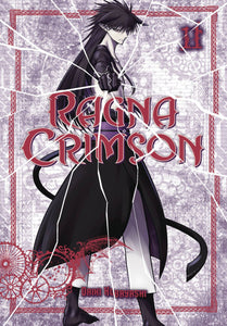 Ragna Crimson (Manga) Vol 11 Manga published by Square Enix Manga