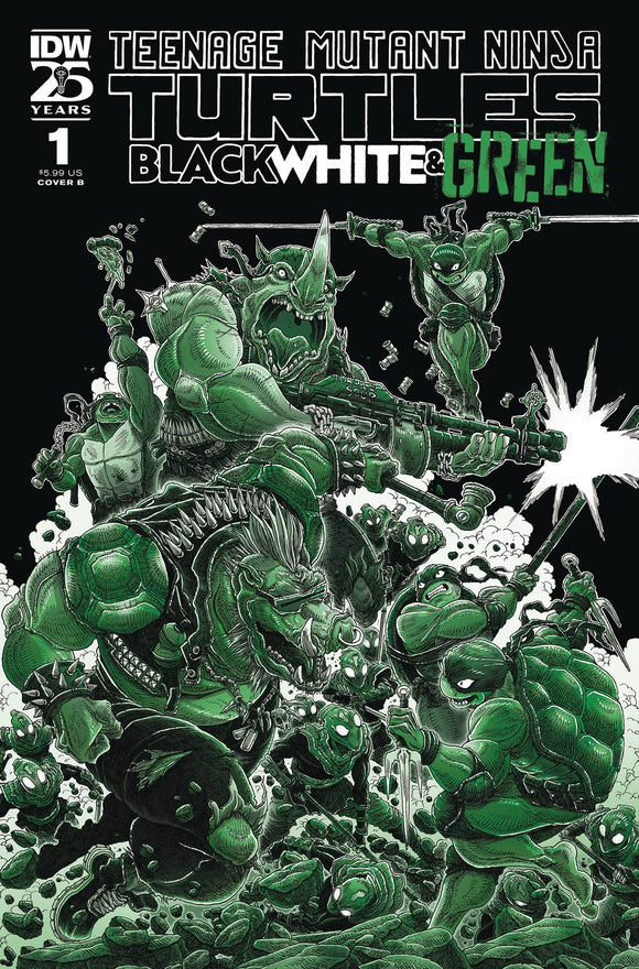 Teenage Mutant Ninja Turtles (TMNT) Black White and Green (2024 IDW) #1 Cvr B Stokoe Comic Books published by Idw Publishing