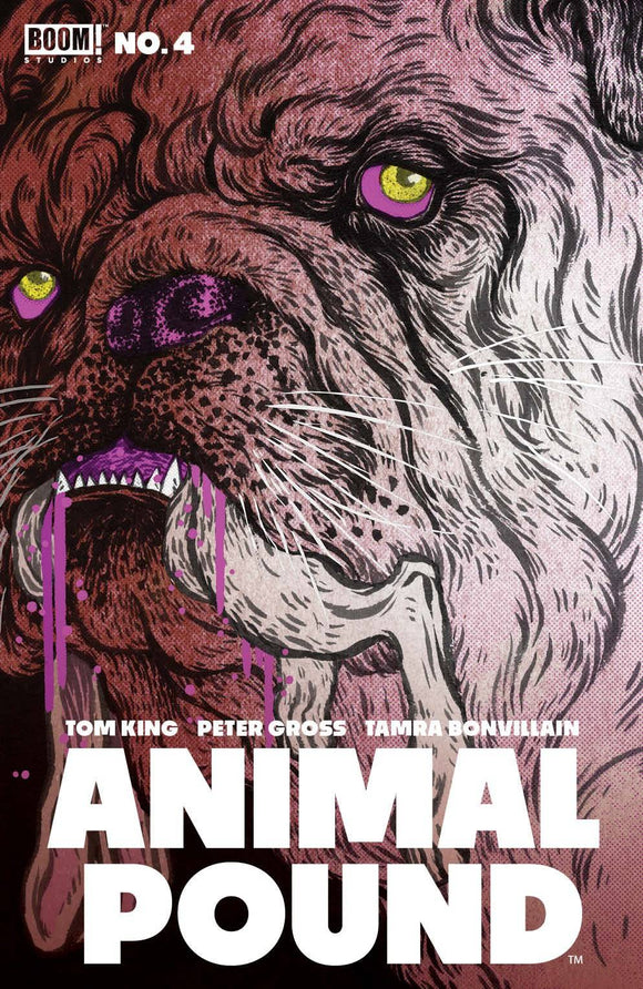 Animal Pound (2023 Boom) #4 (Of 5) Cvr B Shimizu (Mature) Comic Books published by Boom! Studios