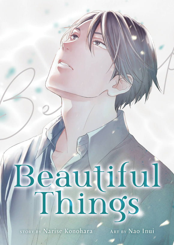 Beautiful Things Complete Manga Collection  Manga published by Seven Seas Entertainment Llc