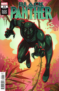 Black Panther (2018 Marvel) (7th Series) #23 Souza Black Panther Black History Variant Comic Books published by Marvel Comics