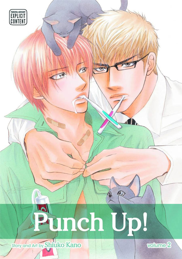 Punch Up (Manga) Vol 02 (Adult) Manga published by Sublime