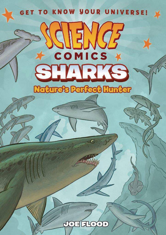 Science Comics Sharks (Paperback) Graphic Novels published by :01 First Second