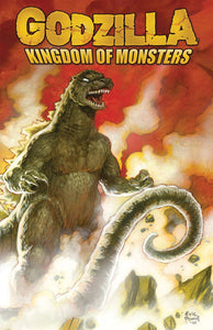 Godzilla Kingdom Of Monsters (Paperback) Graphic Novels published by Idw Publishing