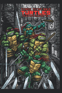 Tmnt Ultimate Coll (Paperback) Vol 05 Graphic Novels published by Idw Publishing