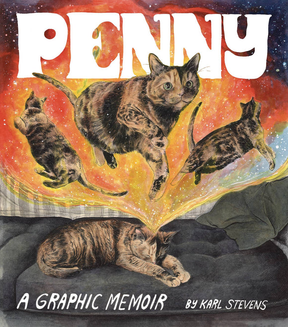 Penny Gn Graphic Novels published by Chronicle Books