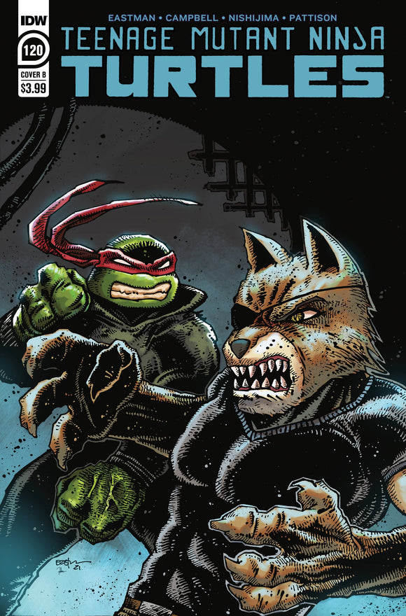 Teenage Mutant Ninja Turtles (Tmnt) (2011 Idw) #120 Cvr B Eastman Comic Books published by Idw Publishing