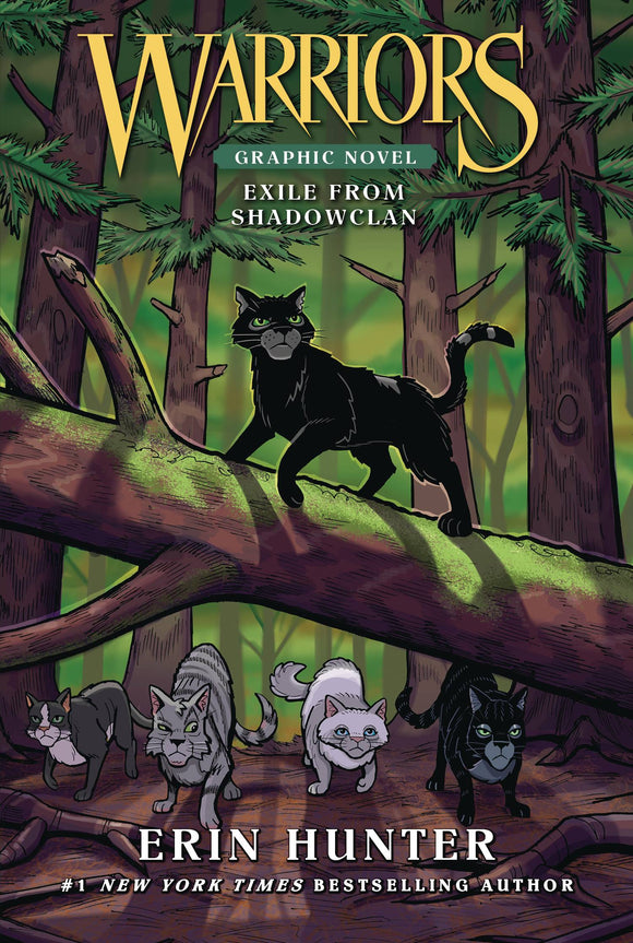 Warriors Exile From Shadowclan (Paperback) Gn Graphic Novels published by Harper Alley