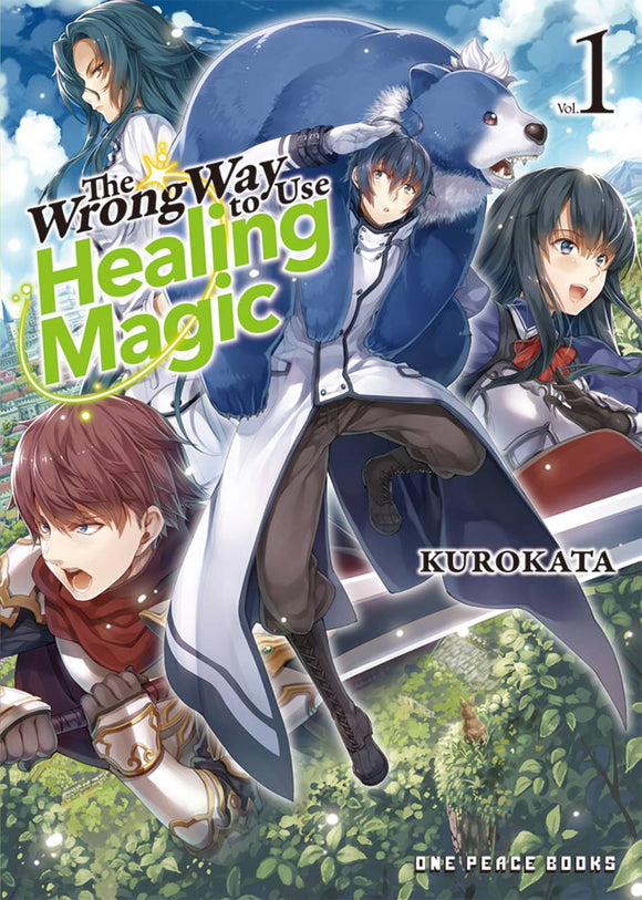 The Wrong Way To Use Healing Magic Novel Vol 01 Light Novels published by One Peace Books