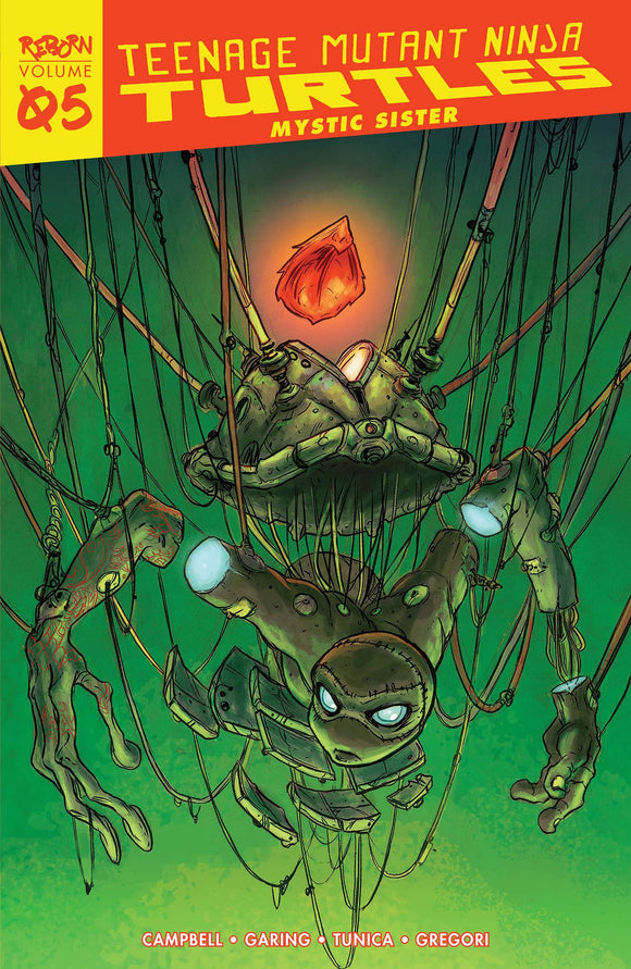 Teenage Mutant Ninja Turtles Reborn (Paperback) Vol 05 Mystic Sister Graphic Novels published by Idw Publishing