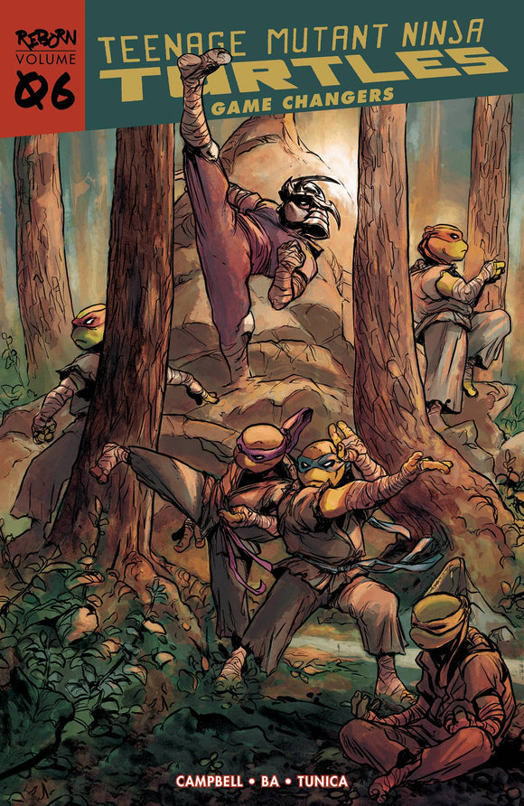 Teenage Mutant Ninja Turtles (Tmnt) Reborn (Paperback) Vol 06 Game Changers Graphic Novels published by Idw Publishing