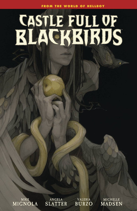 Castle Full Of Blackbirds (Hardcover) Graphic Novels published by Dark Horse Comics